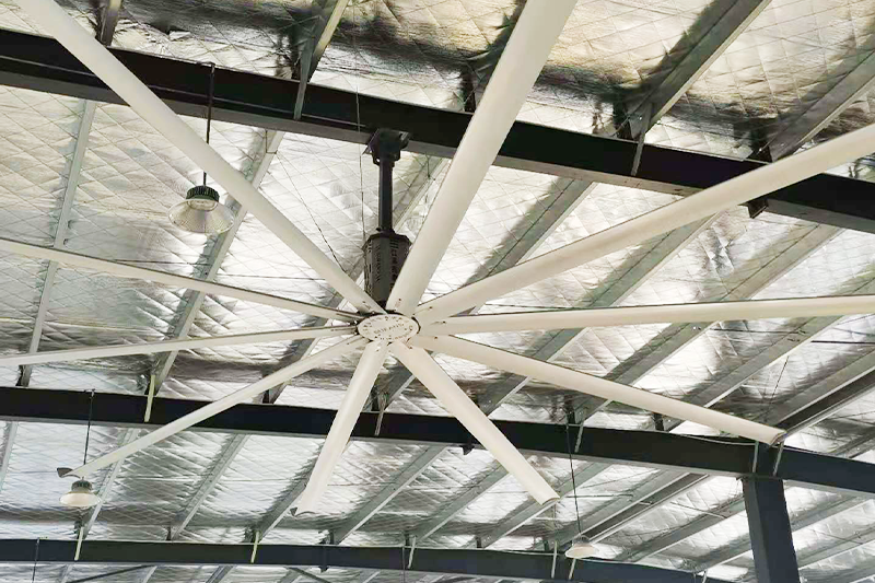 ���͹��I(y��)�L(f��ng)�Ƚ���ԭ����ʲô��