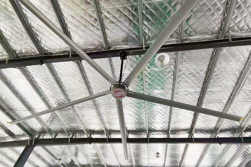 �oˢֱ���L(f��ng)��