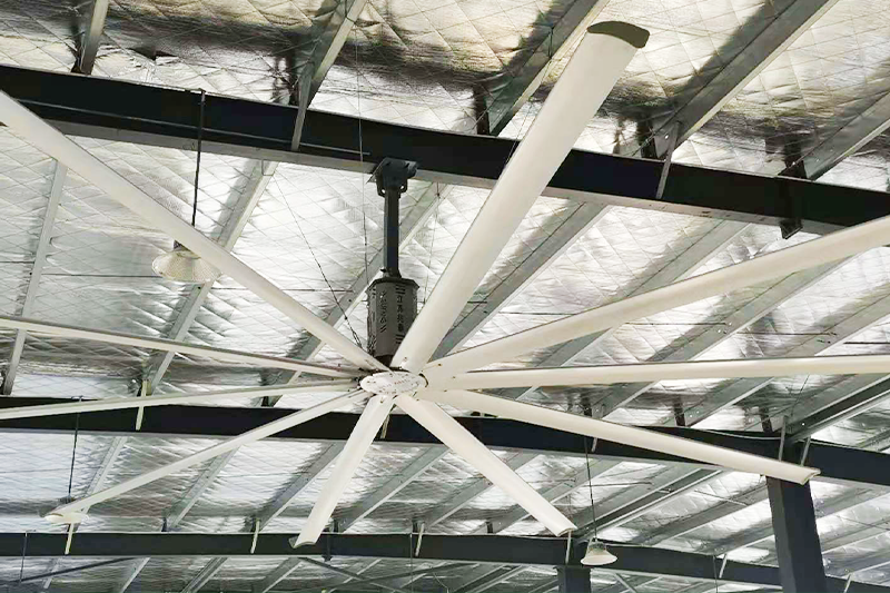 ����늙C(j��)�L(f��ng)��10�~