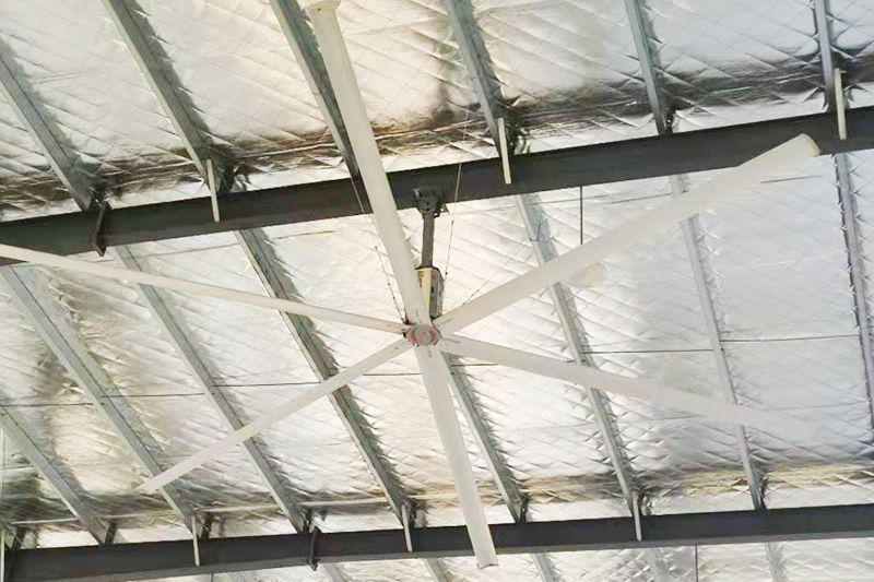 ����늙C(j��)�L(f��ng)��6�~